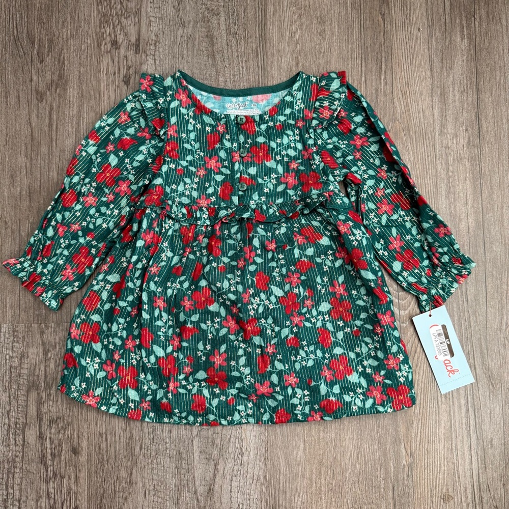 Cat and Jack Floral Green and Red Toddler Girl’s Holiday Dress